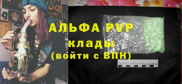 крисы Кодинск